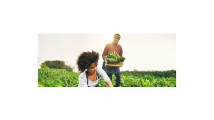 Agro, Grocery & Health